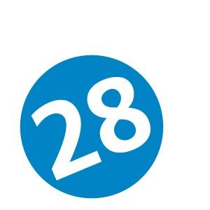 28